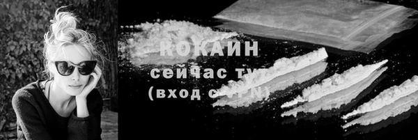 шишки Верея