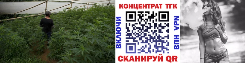 Дистиллят ТГК THC oil  Касли 